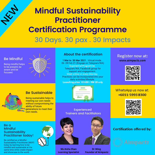 Mindful Sustainability Practitioner
